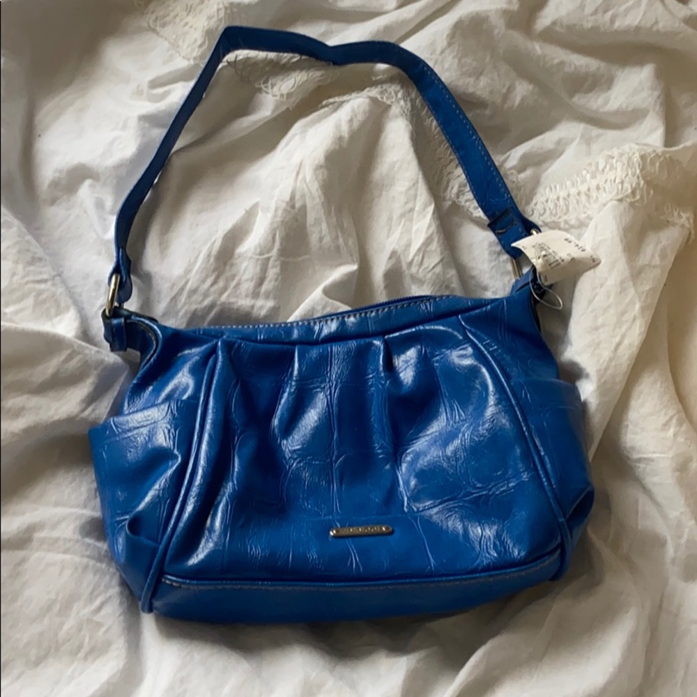 Crocodile skin purse